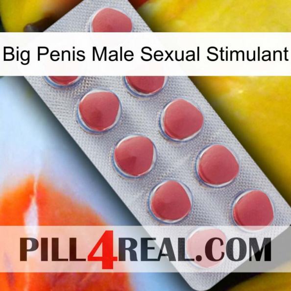 Big Penis Male Sexual Stimulant 18.jpg